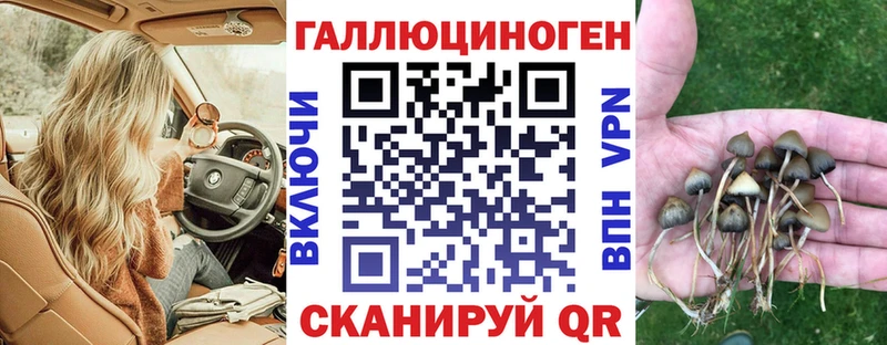 Галлюциногенные грибы GOLDEN TEACHER Гай