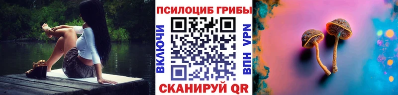 ссылка на мегу как зайти  Гай  Псилоцибиновые грибы мухоморы 